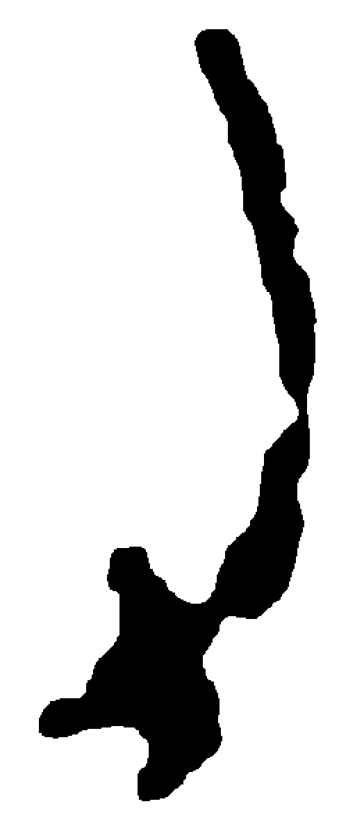 力字甲骨文字形（商）