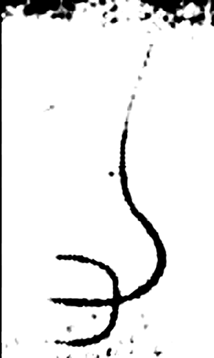 力字金文字形（战国）