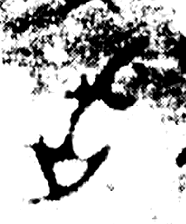 旨字金文字形（周）
