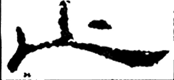 止字隶书字形（汉）