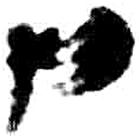 物字简牍字形（秦）