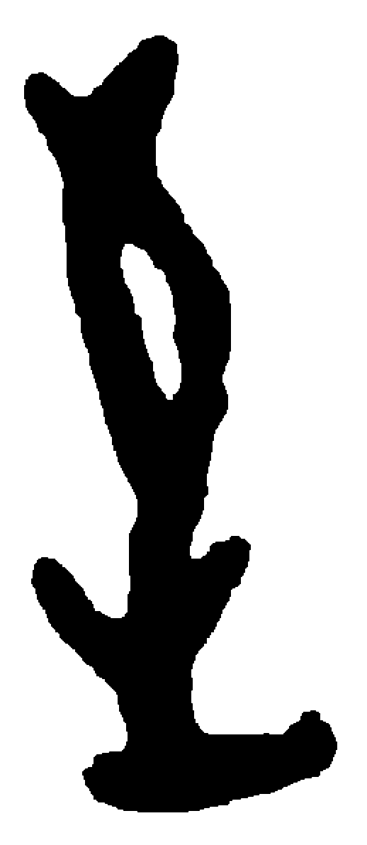 至字甲骨文字形（商）