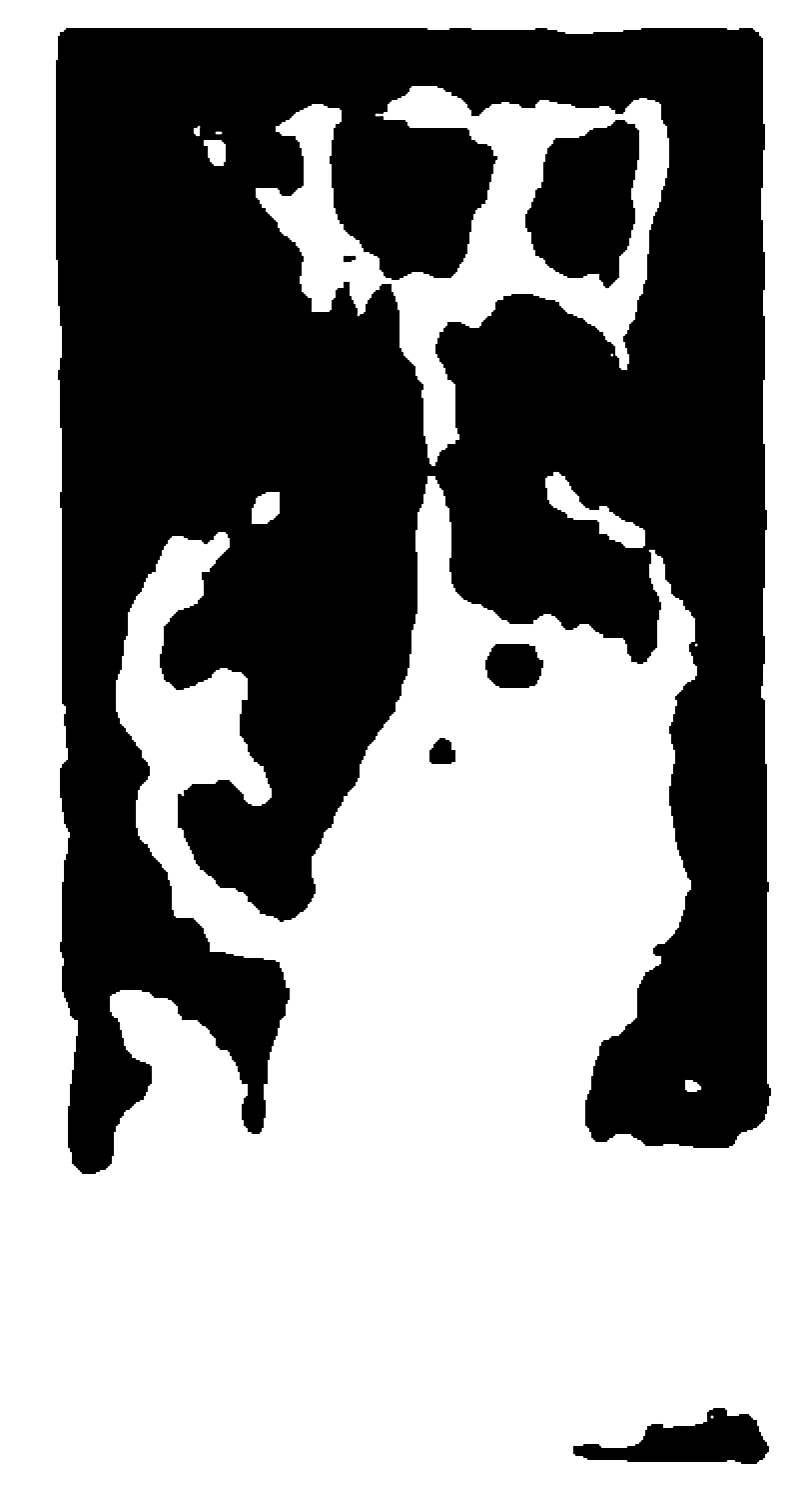 要字甲骨文字形（商）