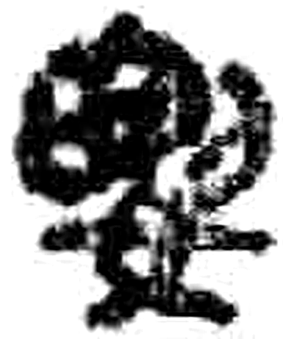 要字简牍字形（秦）