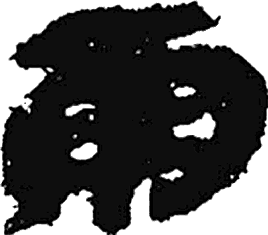 雨字隶书字形（秦）