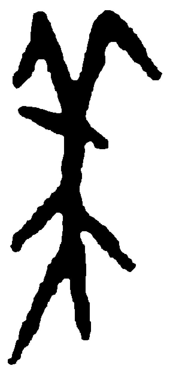 美字甲骨文字形（商）